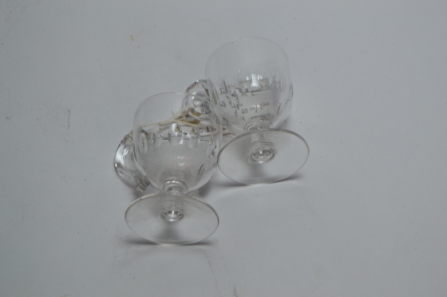 Pair of Custard Glasses.