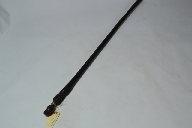 African Walking Stick