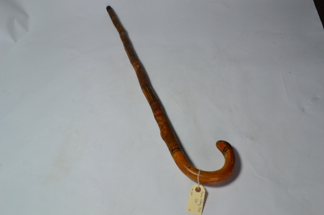 Mexican Walking Stick