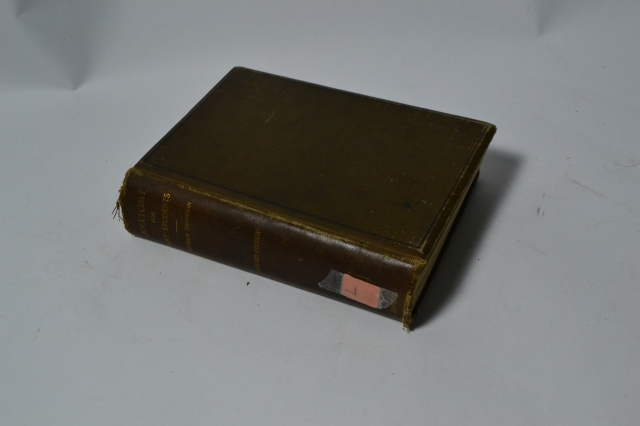 Anatomy for Art Students