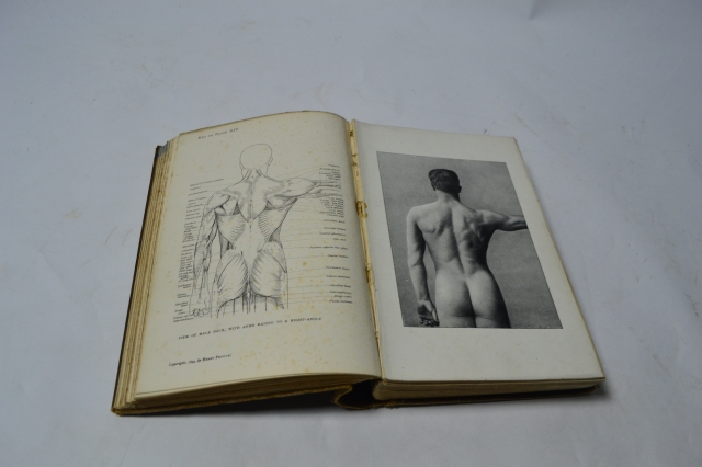 Anatomy for Art Students